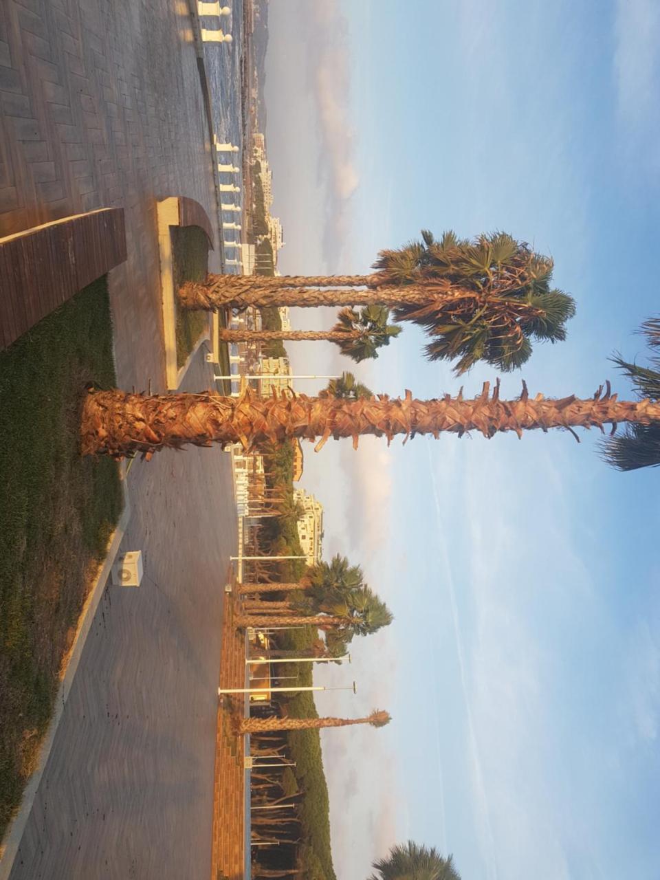 Lovely Apartment Golem  Luaran gambar